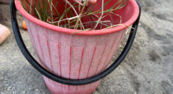 見て吸収していく力